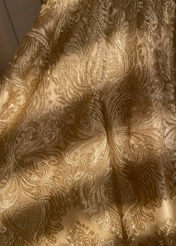 Selvi çetin elbise Bej Uzun Kollu Klasik Kadın Elbise - Görsel 4