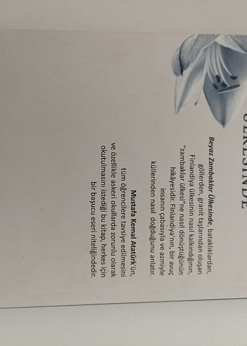 Beyaz Zambaklar Ülkesinde - Grigoriy Petrov - Görsel 3