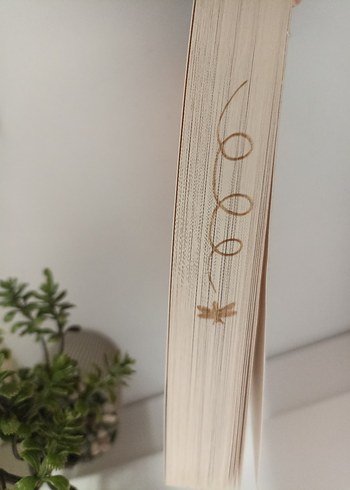 İçimdeki Melodi Sanat Kitabı - Görsel 3