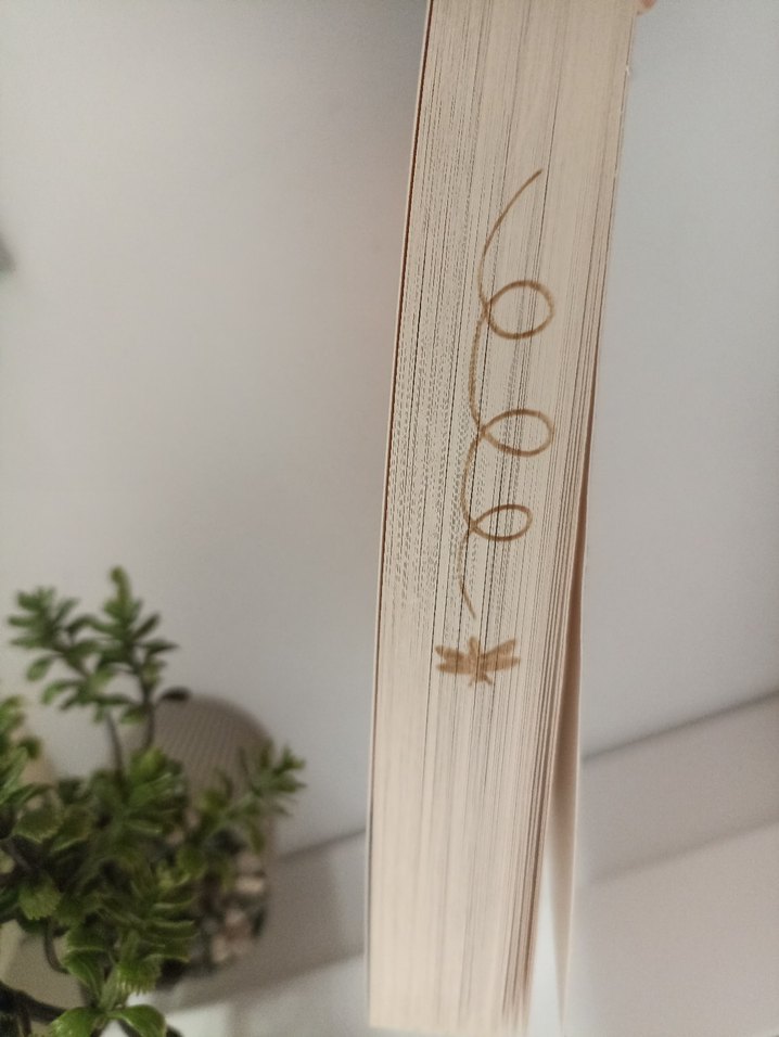 İçimdeki Melodi Sanat Kitabı - Görsel 3