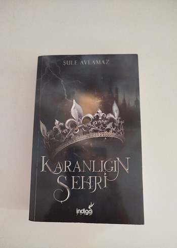 Karanlığın Şehri - Şule Avlamaz