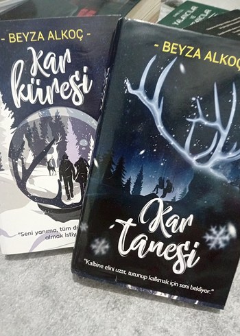 Beyza Alkoç'tan Kar Küresi ve Kar Tanesi