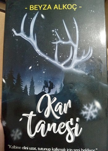 Beden Beyza Alkoç'tan Kar Küresi ve Kar Tanesi