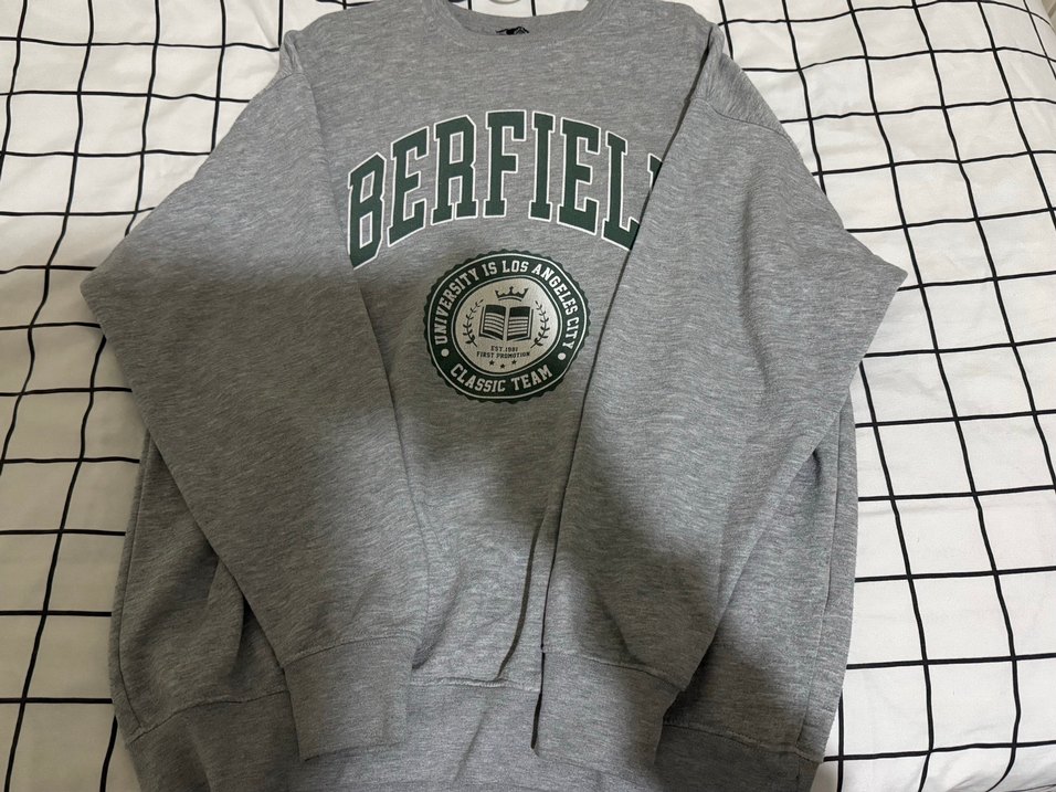 Gri Baskılı Kadın Sweatshirt - Görsel 4