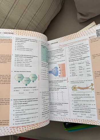 PALME AYT Biyoloji Soru Kitabı sıfır - Görsel 2