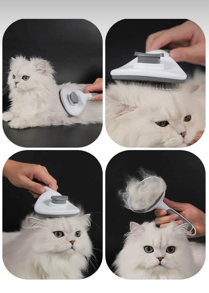 Kedi Tüy Tarağı ve Tırnak Makası Seti - Görsel 4