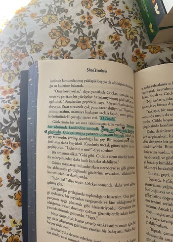 Yıldız Çölü - Selin Erenthar - Görsel 2