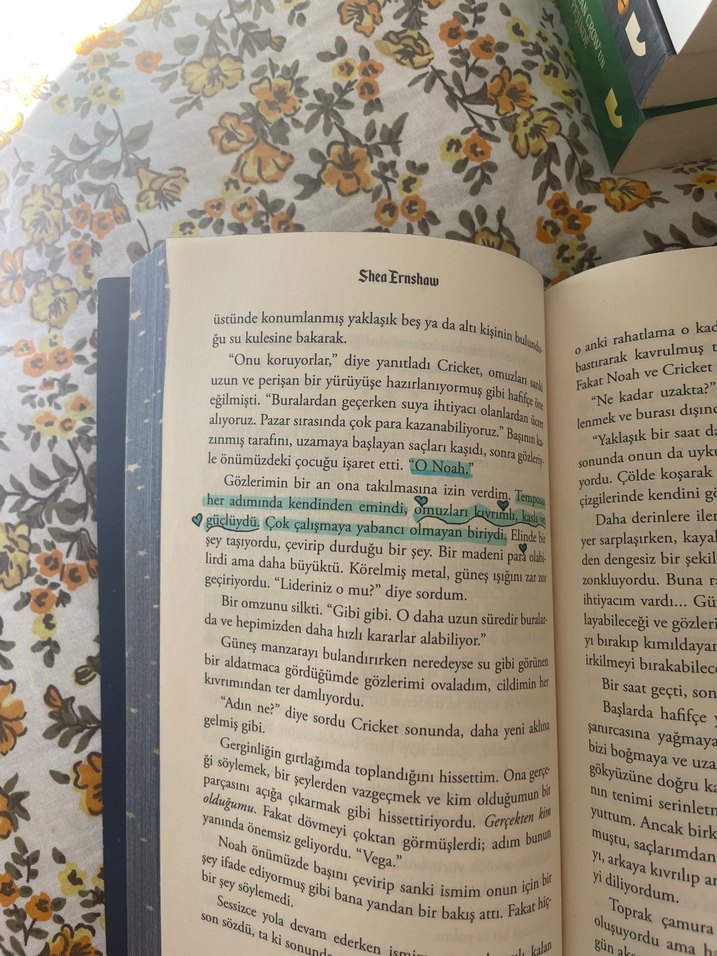 Yıldız Çölü - Selin Erenthar - Görsel 2