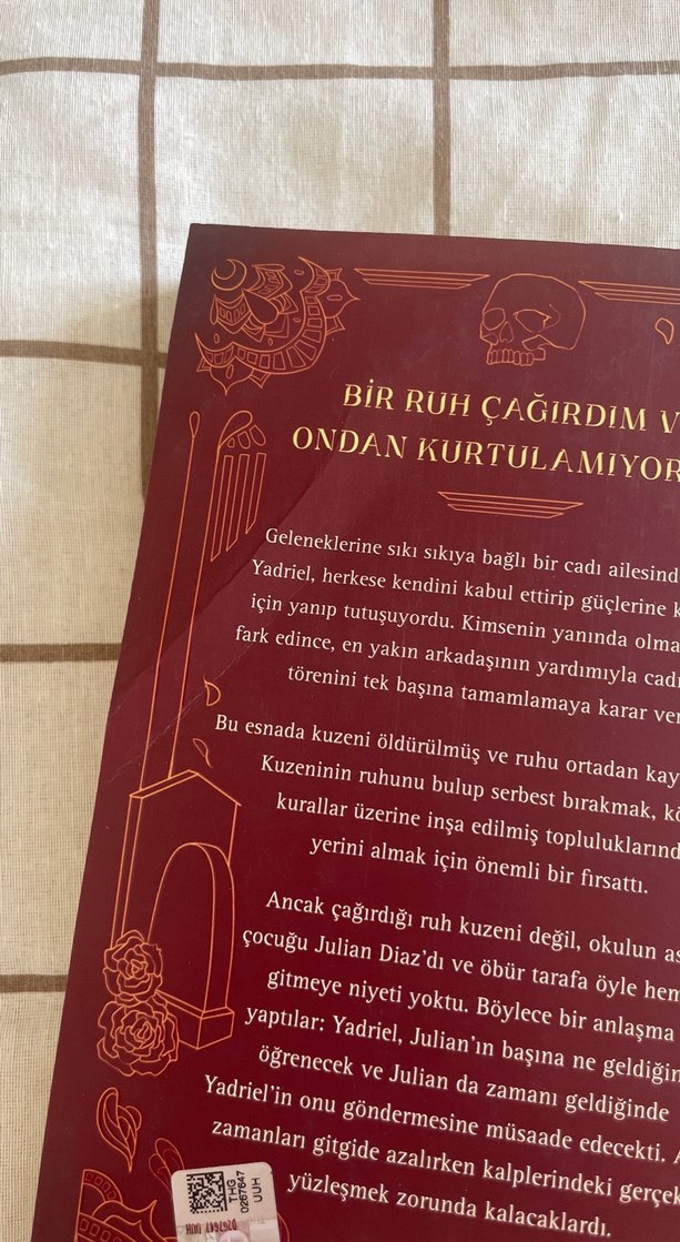 Mezarlık Çocukları - Aiden Thomas - Görsel 2