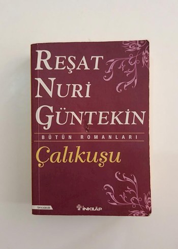 Resat Nuri Güntekin - Çalıkuşu Romanı