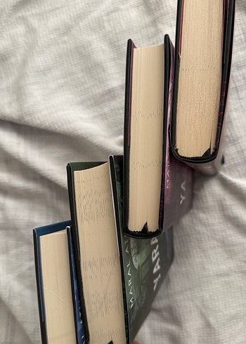 Beden Renk YARALASAR kutulu kitap seti