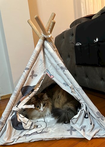 Kedi Oyun Çadırı - Görsel 6
