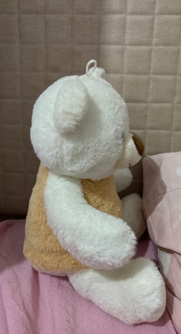 Beyaz ve Bej Peluş Ayıcık Oyuncak - Görsel 4