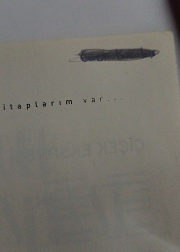 Çiçek Ekspresi - Özgür Balpınar - Görsel 3