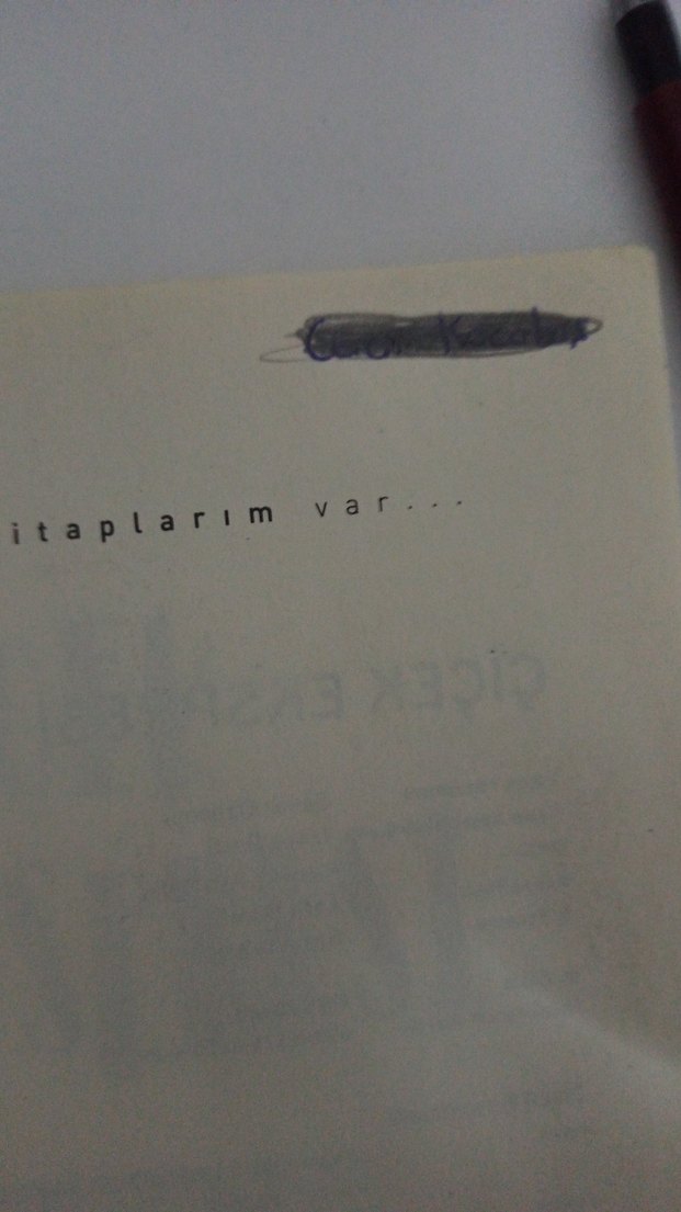 Çiçek Ekspresi - Özgür Balpınar - Görsel 3