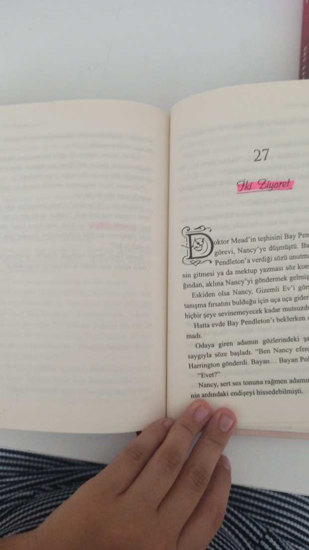 Pollyanna - Eleanor H. Porter - Görsel 4