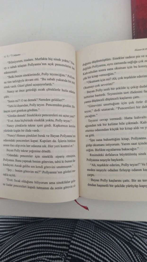 Pollyanna - Eleanor H. Porter - Görsel 3