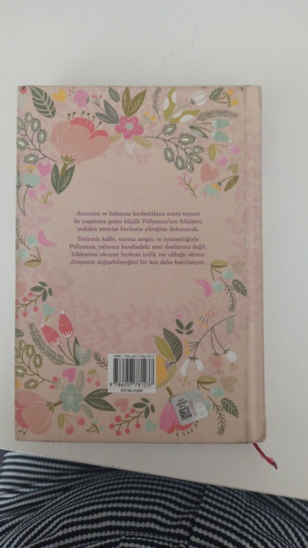 Pollyanna - Eleanor H. Porter - Görsel 2