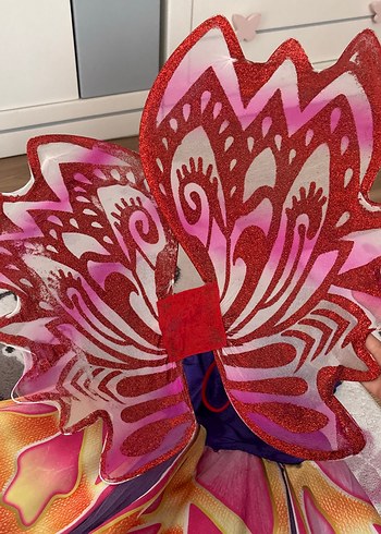 Winx kostumu - Görsel 4