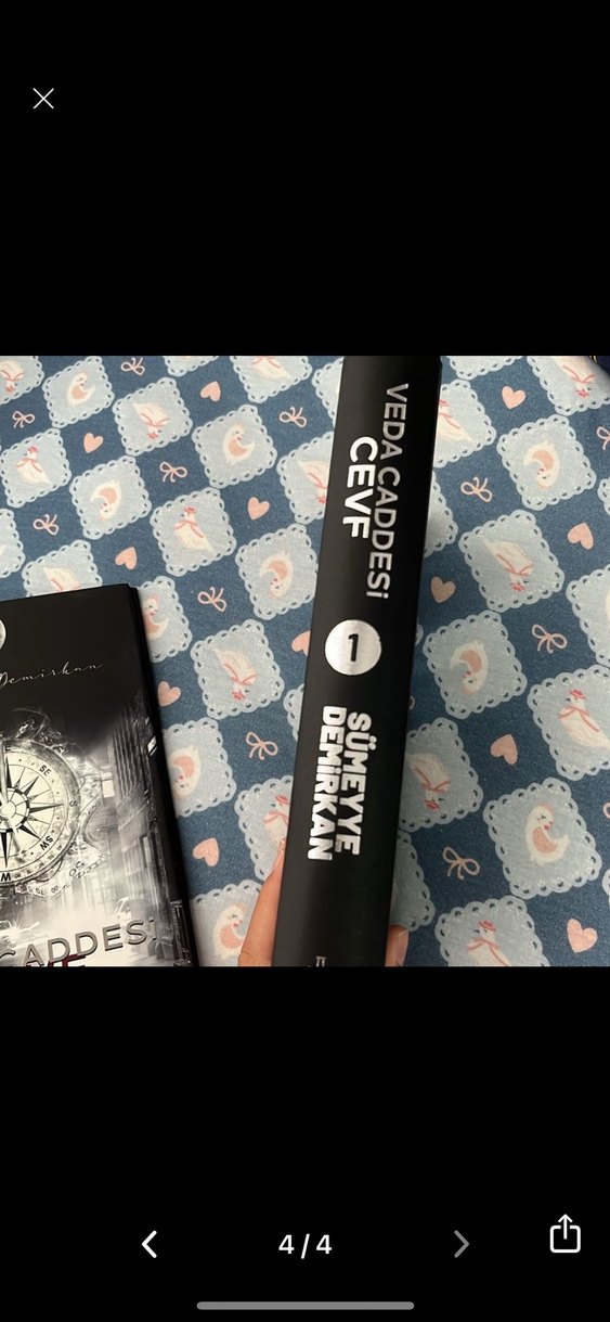 Veda Caddesi Cevf - Samyeye Demirhan - Görsel 4