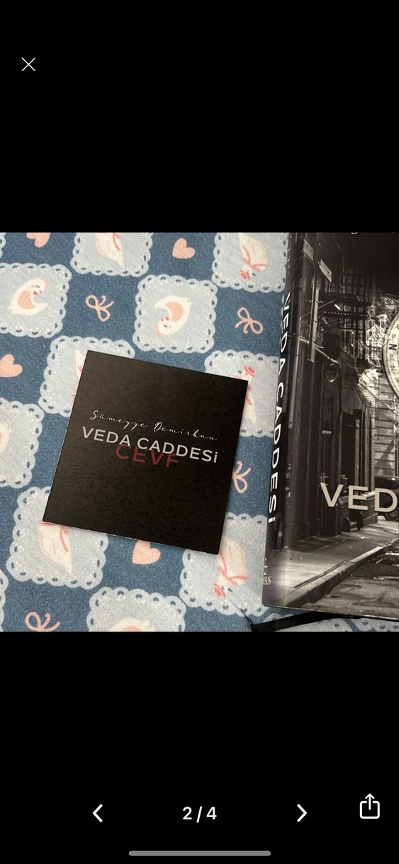 Veda Caddesi Cevf - Samyeye Demirhan - Görsel 2