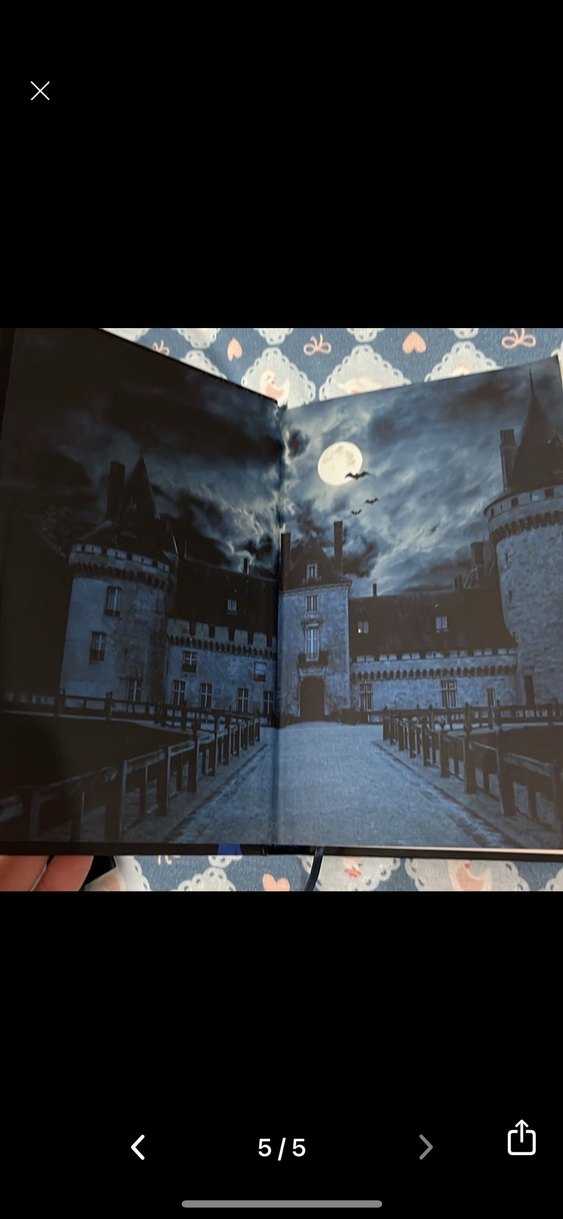 Yaralasar - Maral Atmaca - Görsel 5