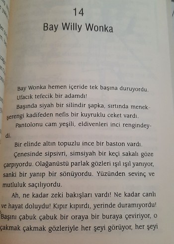 Charlie'nin Çikolata Fabrikası - Roald Dahl - Görsel 2