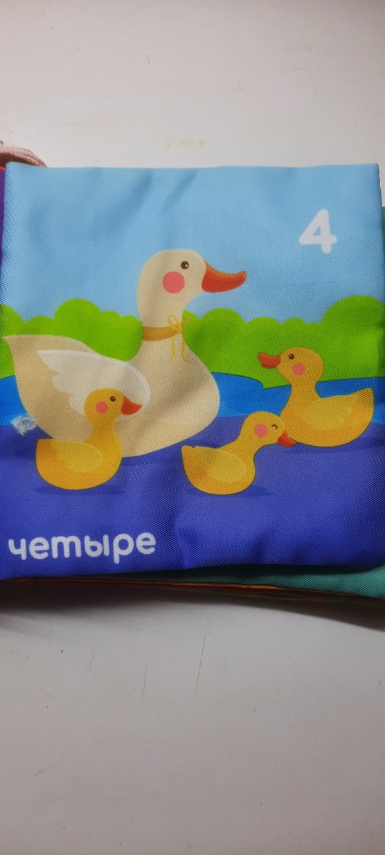 Amarobaby Renkli Eğitici Bebek Kitabı - Görsel 5