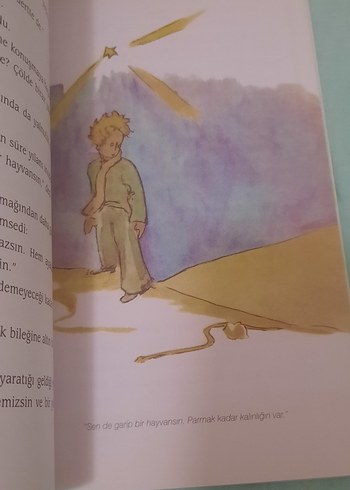 Küçük Prens - Cemal Süreya & Tomris Uyar çevirisiyle - Görsel 2