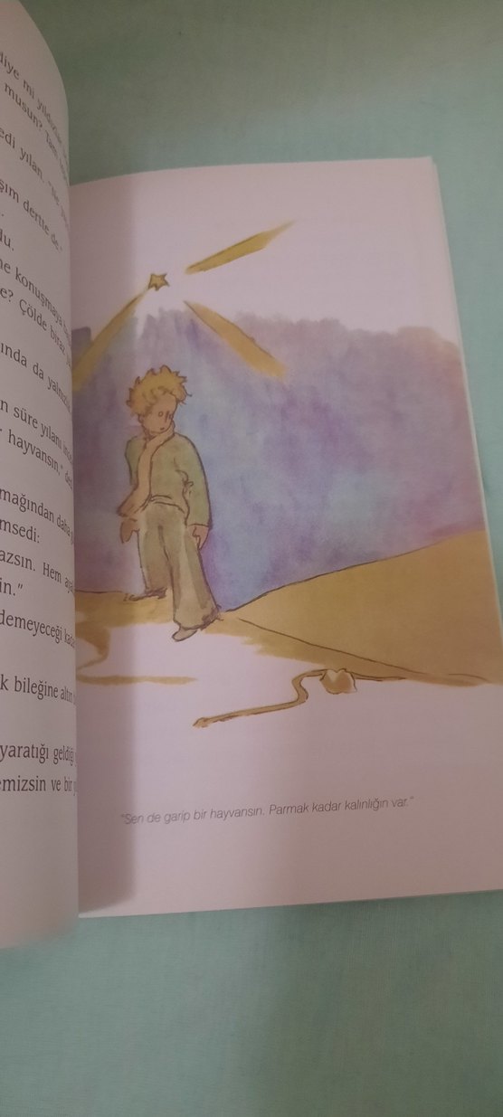 Küçük Prens - Cemal Süreya & Tomris Uyar çevirisiyle - Görsel 2