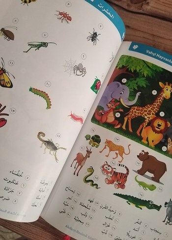 Akdem Arapça-Türkçe Resimli Sözlük - Görsel 3