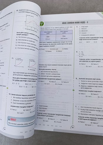 Beden Bilgi Sarmal Yayınları Biyoloji Soru Bankası TYT-AYT
