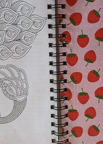 Ajanda Palanlayıcı Defter - Görsel 15