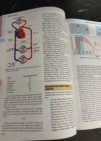 Guyton Fizyoloji - 13. Baskı - Görsel 8