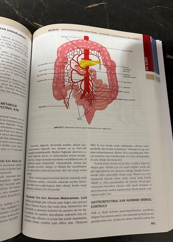 Guyton Fizyoloji - 13. Baskı - Görsel 9
