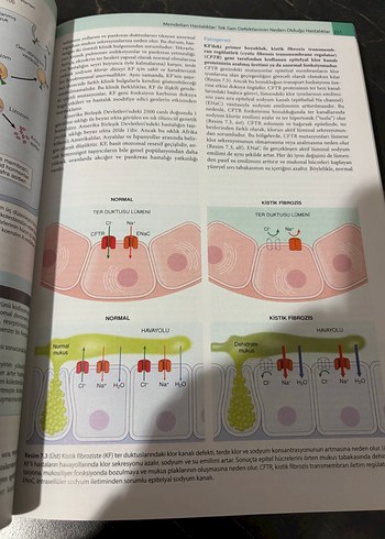 Robbins Temel Patoloji Kitabı - 10. Baskı - Görsel 5