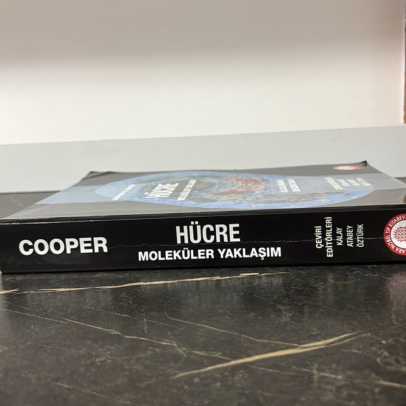 Hücre Moleküler Yaklaşım - 8. Baskı - Görsel 2