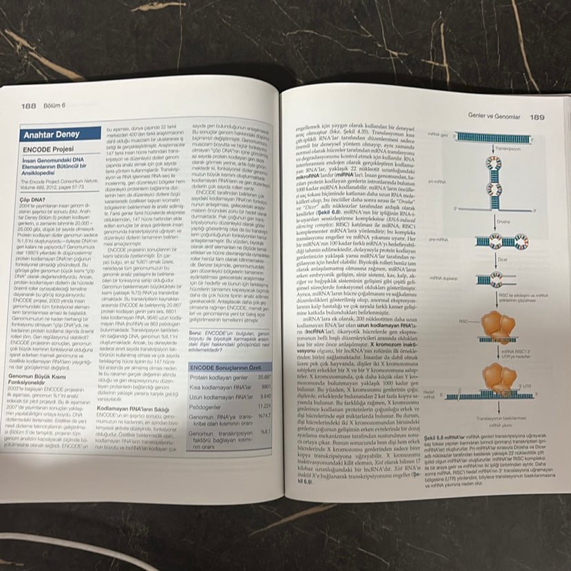Hücre Moleküler Yaklaşım - 8. Baskı - Görsel 4