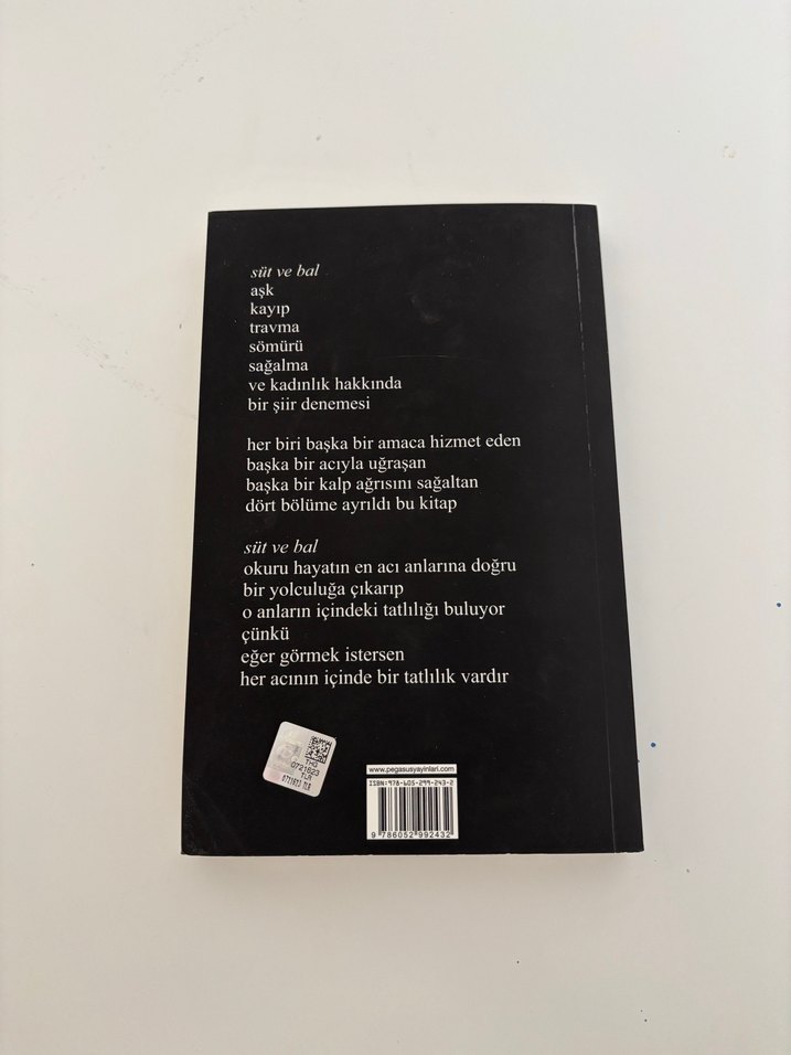 Süt ve Bal - Rupi Kaur - Görsel 2