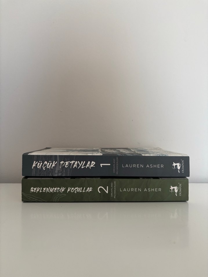 Lauren Asher Küçük Detaylar & Beklenmedik Koşullar - Görsel 3