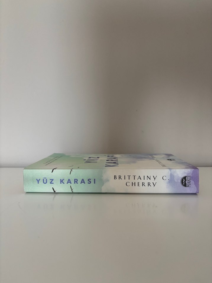 Yüz Karası - Brittainy C. Cherry - Görsel 3
