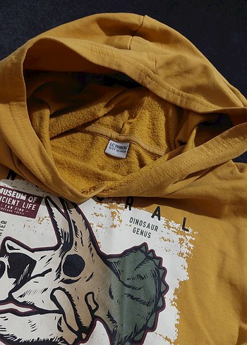 Sarı Baskılı Kapüşonlu Erkek Sweatshirt - Görsel 2