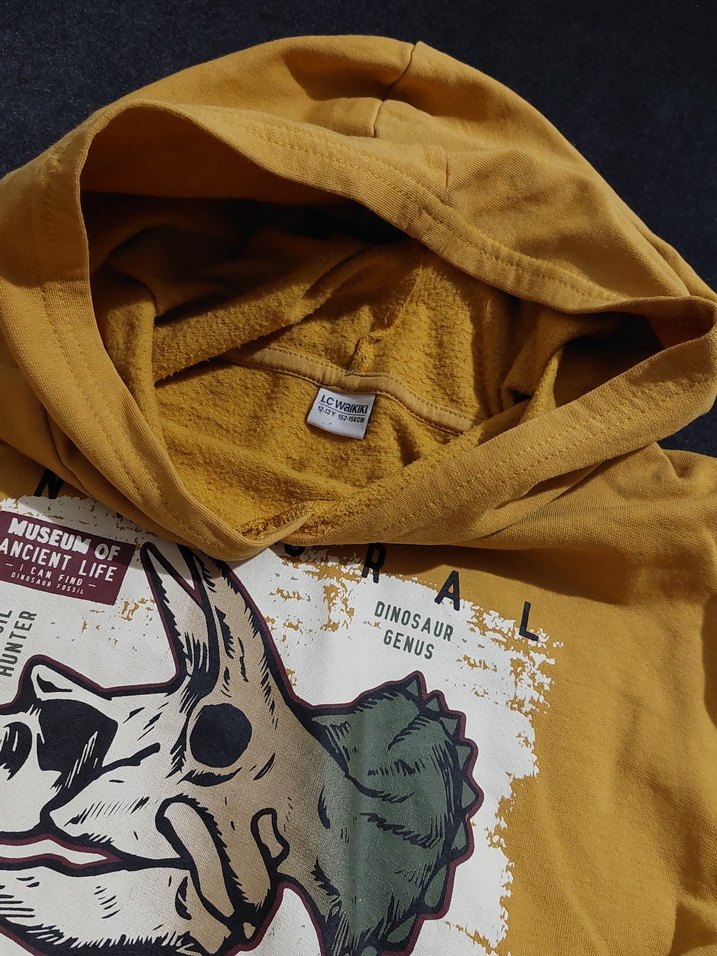 Sarı Baskılı Kapüşonlu Erkek Sweatshirt - Görsel 2