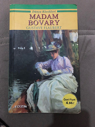 Madam bovary dünya klasiklerinden 