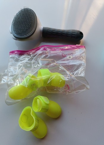 Renkli kedi ve köpek Aksesuar Seti - Görsel 6