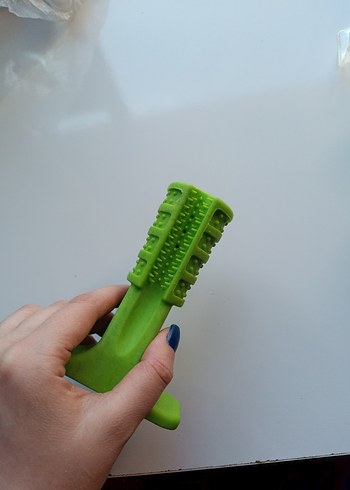 Renkli kedi ve köpek Aksesuar Seti - Görsel 3