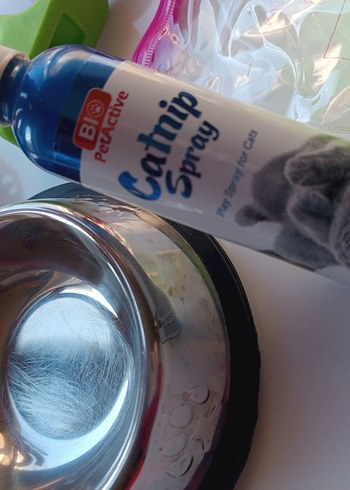 Renkli kedi ve köpek Aksesuar Seti - Görsel 5