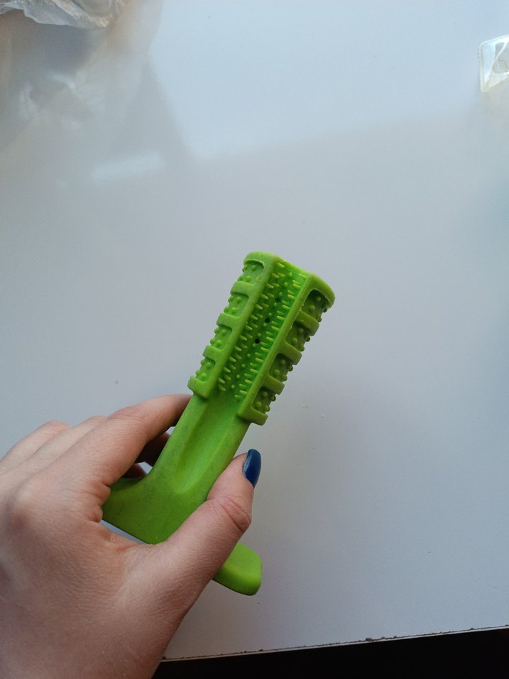 Renkli kedi ve köpek Aksesuar Seti - Görsel 3