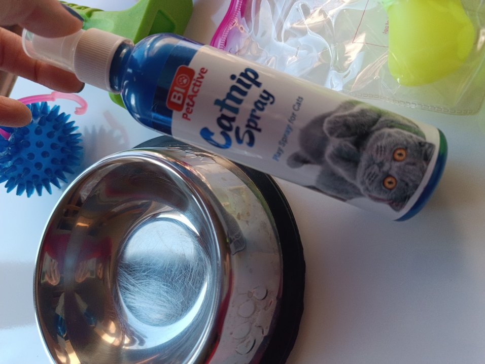 Renkli kedi ve köpek Aksesuar Seti - Görsel 5