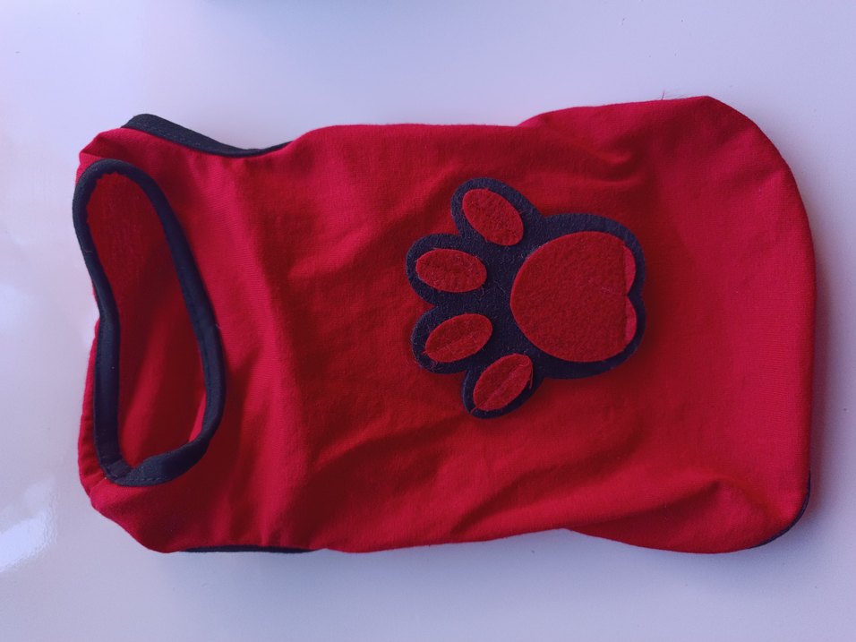 Renkli kedi ve köpek Aksesuar Seti - Görsel 4